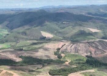 Meteoric vai colaborar para produção de ímãs de terras raras no Brasil