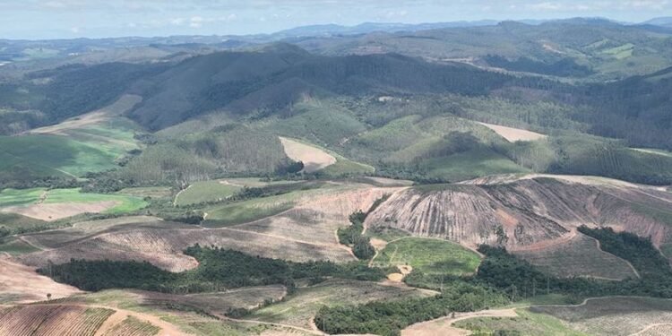 Meteoric vai colaborar para produção de ímãs de terras raras no Brasil