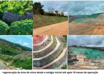 Sigma Lithium: Liderança Climática na Semana do Clima da ONU em Nova York com estudo de caso sobre regeneração de pilhas de estéril e economia circular