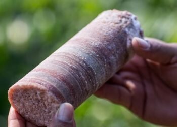 O projeto de mineração de potássio da Potássio Brasil no Amazonas é um exemplo de como grandes empreendimentos podem gerar tanto oportunidades quanto desafios