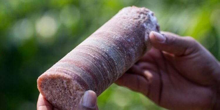 O projeto de mineração de potássio da Potássio Brasil no Amazonas é um exemplo de como grandes empreendimentos podem gerar tanto oportunidades quanto desafios