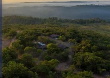 MPF recomenda suspensão da licença para o projeto de mineração de ouro Castelo dos Sonhos, em Altamira (PA)