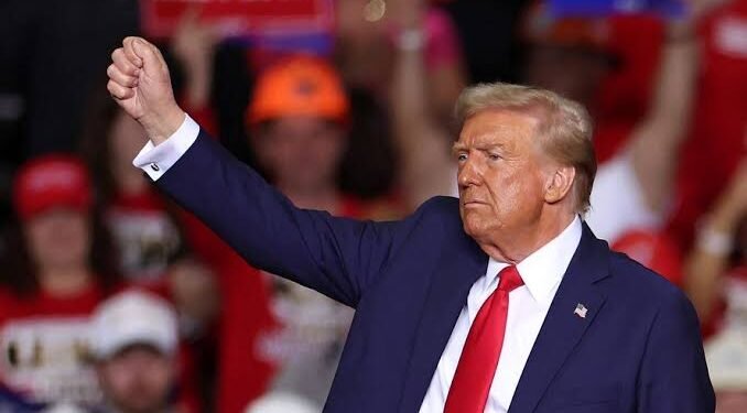 Brasil pode liderar transição energética global após vitória de Trump