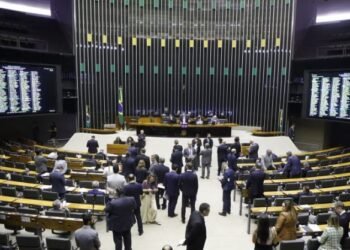 Câmara aprova projeto que regulamenta o mercado de carbono no Brasil; texto segue para sanção do presidente Lula