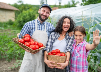 Minerais e seus resíduos trazem soluções sustentáveis para o solo e para a segurança alimentar