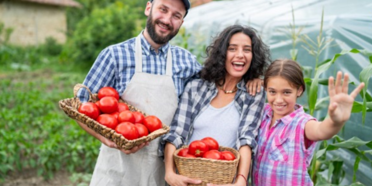 Minerais e seus resíduos trazem soluções sustentáveis para o solo e para a segurança alimentar