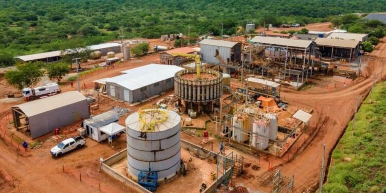 Brazilian Nickel pode receber meio bilhão de dólares em investimento para projeto no Piauí