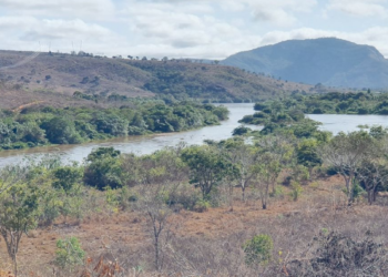 Projeto de terras-raras no Vale do Lítio tem potencial de classe mundial