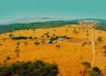 Aclara nomeia Country Manager para o Brasil