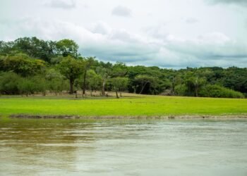 MRN revela jornada de restauração ecológica do Lago Batata