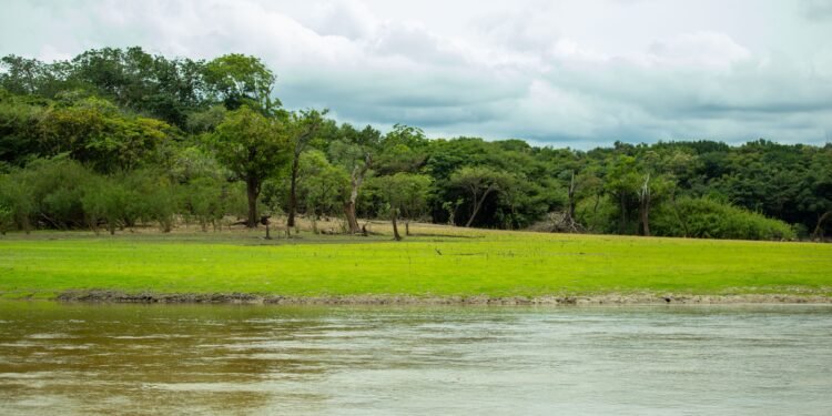 MRN revela jornada de restauração ecológica do Lago Batata