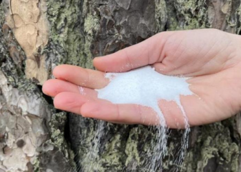 Baterias de íons de sódio podem competir com as de íons de lítio