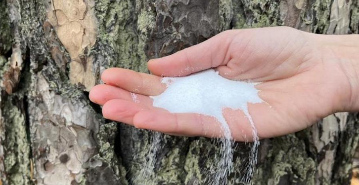 Baterias de íons de sódio podem competir com as de íons de lítio