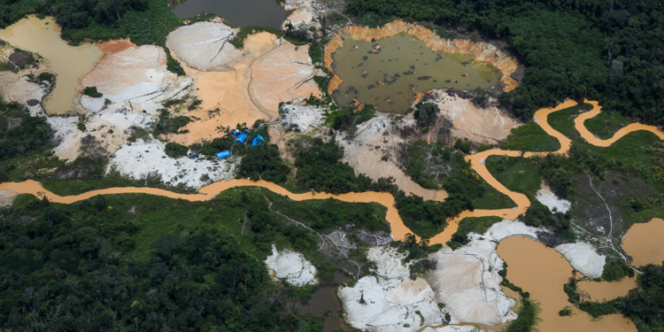 Pesquisa revela o enorme impacto dos garimpos ilegais de ouro