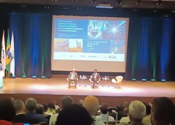 Brasil deve acelerar licenciamento ambiental para mineração de minerais críticos, aponta Ibram