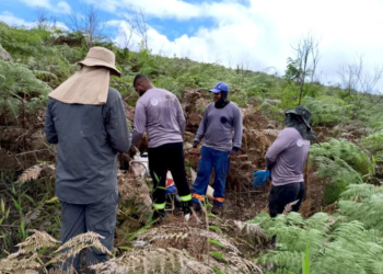Axel REE confirma altas concentrações de terras raras e gálio em Caladão