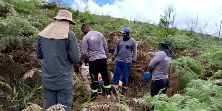 Axel REE confirma altas concentrações de terras raras e gálio em Caladão
