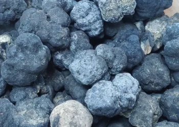 Trump permite extração mineral submarina nos Estados Unidos