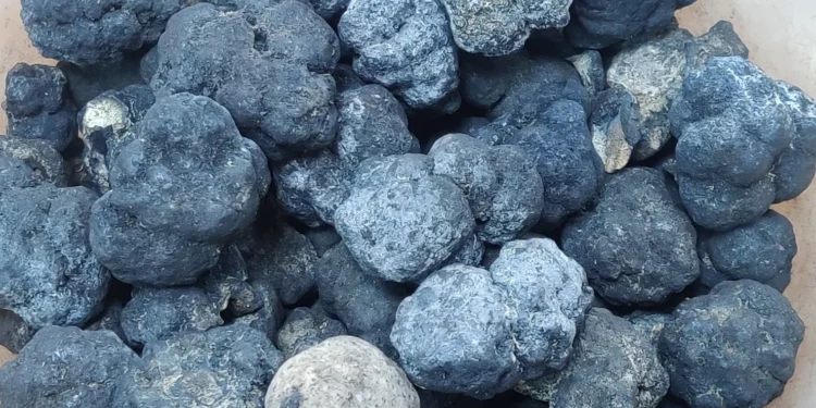 Trump permite extração mineral submarina nos Estados Unidos