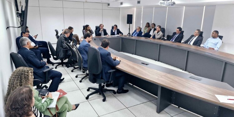 AMIG Brasil pressiona ANM por medidas efetivas de fiscalização na mineração