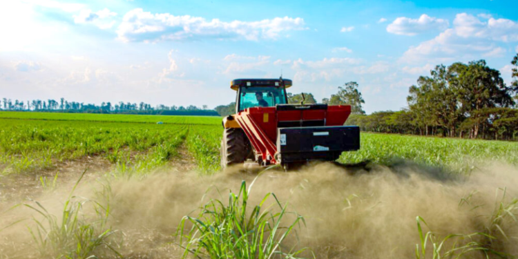 Brasil se destaca com certificação inédita de tecnologia para remoção de carbono