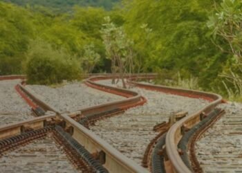 Fiol Parada:  venda da Bamin entra em modo de emergência