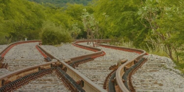 Fiol Parada: venda da Bamin entra em modo de emergência