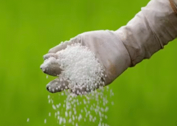 Mosaic divulga novo Índice de Poder de Compra de Fertilizantes | 5% acima do mês anterior