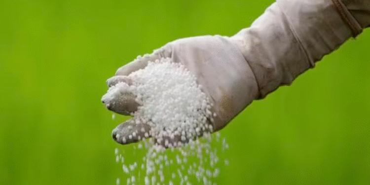 Mosaic divulga novo Índice de Poder de Compra de Fertilizantes | 5% acima do mês anterior