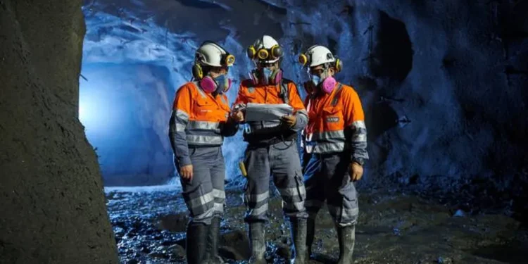 Nexa disputa ativos de cobre e ouro da BHP no Brasil