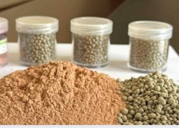 Projeto de verticalização da produção de manganês no Pará une mineração, indústria química e energia limpa