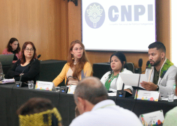 CNPI emite resolução contra regulamentação da mineração em Terras Indígenas