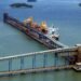 Porto Sudeste Anuncia Pagamento de Royalties a Investidores e Nova Expansão Contratual