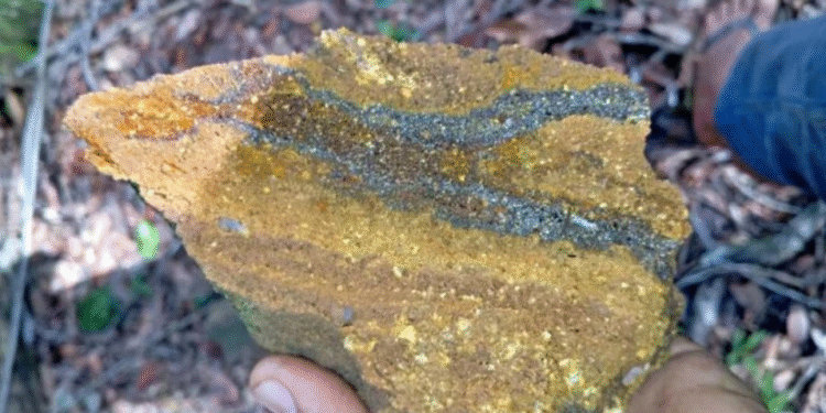 Currais pode se tornar referência na mineração de ouro no Piauí