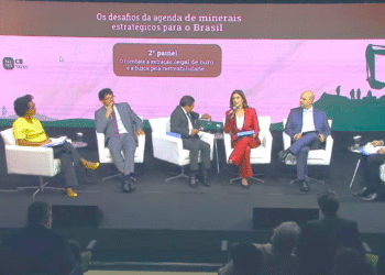 Mineração e Ilegalidade: Desafios para Regulação e Fortalecimento do Estado