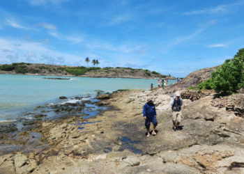 Mapa Aerogeofísico revela potencial mineral da Bacia de Alagoas