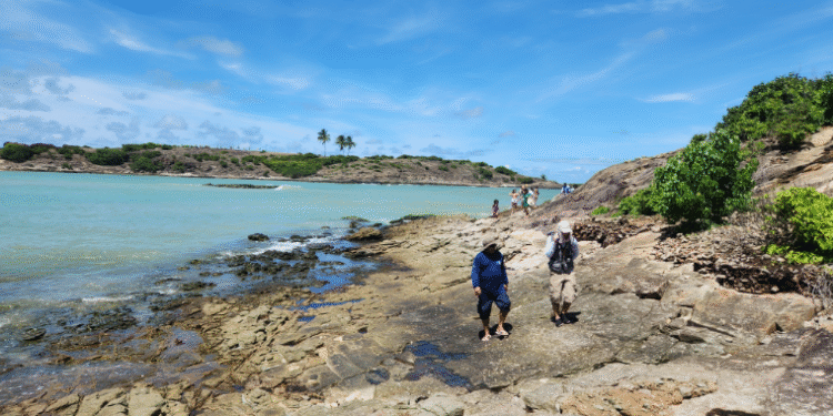 Mapa Aerogeofísico revela potencial mineral da Bacia de Alagoas