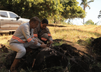Axía Resources aposta em inovação, ciência e gestão inteligente para transformar a mineração brasileira