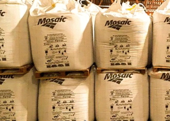 Mosaic recicla mais de 113 toneladas de embalagens e evita emissão de 159 toneladas de CO₂