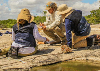 Governo quer ouvir opinião do setor sobre plano para pesquisa de recursos minerais
