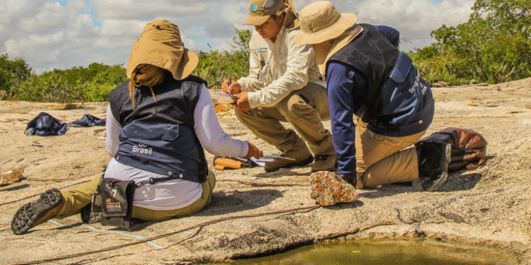 Governo quer ouvir opinião do setor sobre plano para pesquisa de recursos minerais