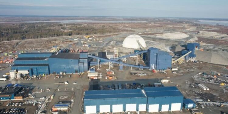 Equinox Gold anuncia Darren Hall como novo CEO em transição de liderança