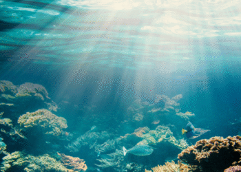 Brasil mapeia nova fronteira da mineração a 3 mil metros de profundidade no Atlântico Sul