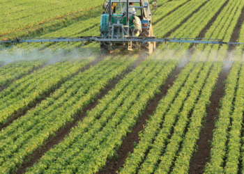 Dependência brasileira de fertilizantes russos torna o país vulnerável a novas tarifas americanas