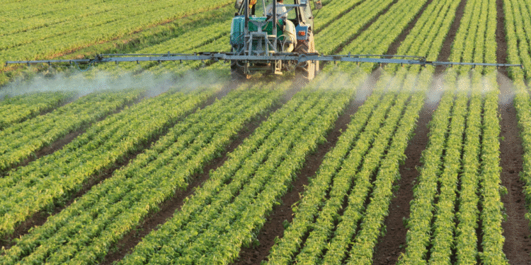 Dependência brasileira de fertilizantes russos torna o país vulnerável a novas tarifas americanas