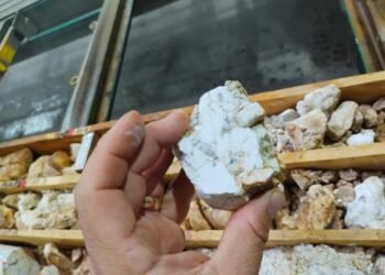 Exclusivo: Justiça barra licenciamento ambiental do Projeto Anitta da Atlas Lithium em Minas Gerais