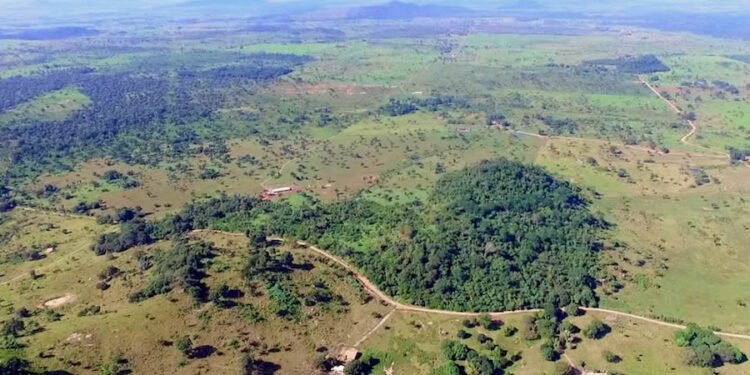 Corex Holding compra Oz Mineralz e assume minas de cobre no Pará