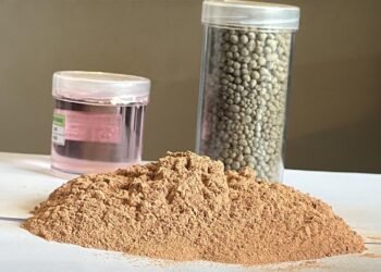 Semas promove audiência pública sobre o Projeto Sereno, da RMB, em Curionópolis e Marabá