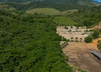 Justiça mantém exigência de autorização do Ibama para mineração na Mata Atlântica