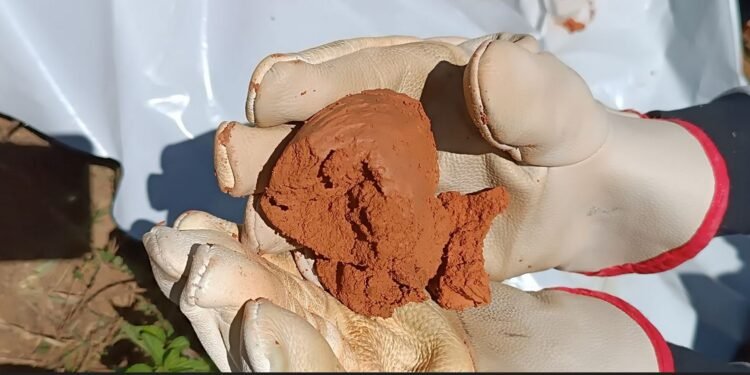 Goiás mira protagonismo global com minerais críticos